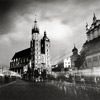 horses walking through exposure krakow main square